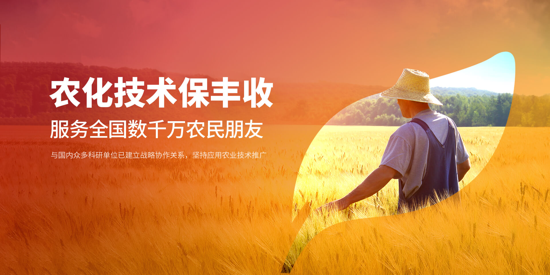 安阳草莓色视频在线观看新肥科技有限公司